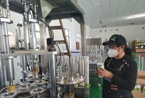 科技赋能茶产业,郎溪推动高质量发展