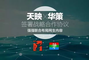 网生内容搭乘互联网东风,老牌影视公司集体谋变广播电视节目制作