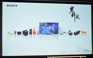 索尼中国专业系统集团总裁本野桂 推动广播电视节目制作的技术革新与发展