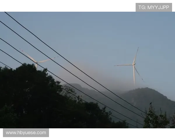 风车转出1000种可能:《XXX》8种结局你最想看到哪种? 风车转出1000种可能:《XXX》8种结局你最想看到哪种?